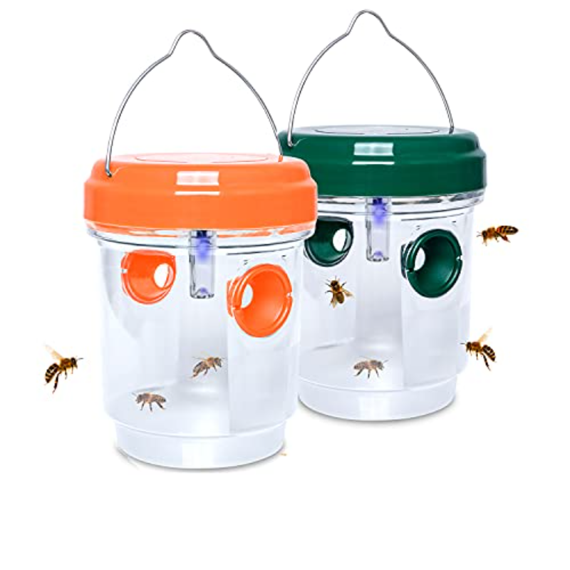 Solar Wasp Traps Hanging Yello - Lighting Jockey 리뷰 및 가격