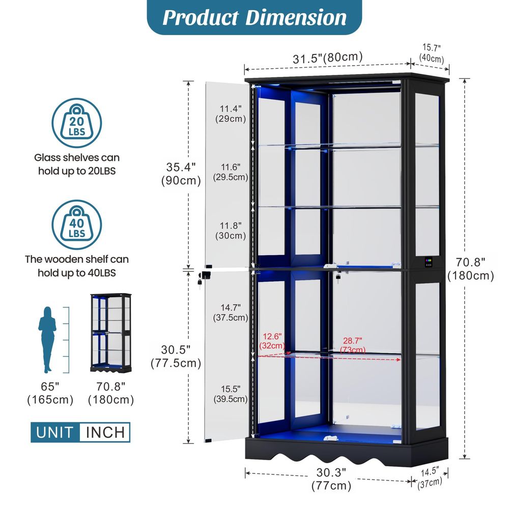 Display Cabinet with Glass Doo - Lighting & Home Decor Studio 리뷰 및 가격